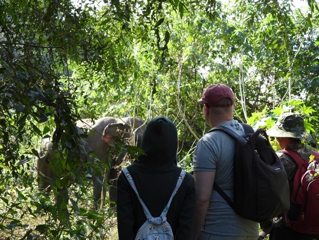 voi Tay Nguyen anh 1