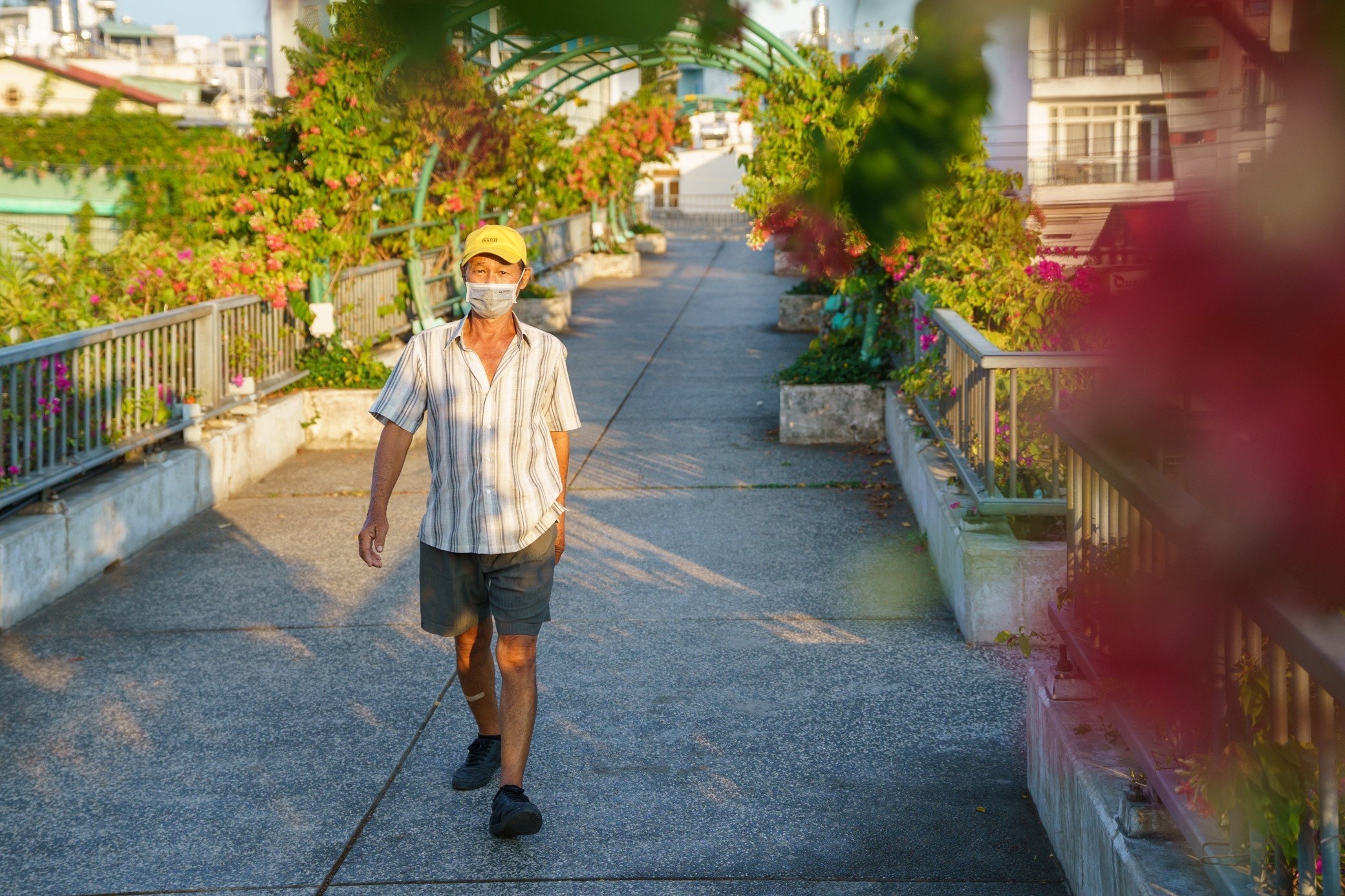 cau vuot bo hanh TP.HCM anh 2