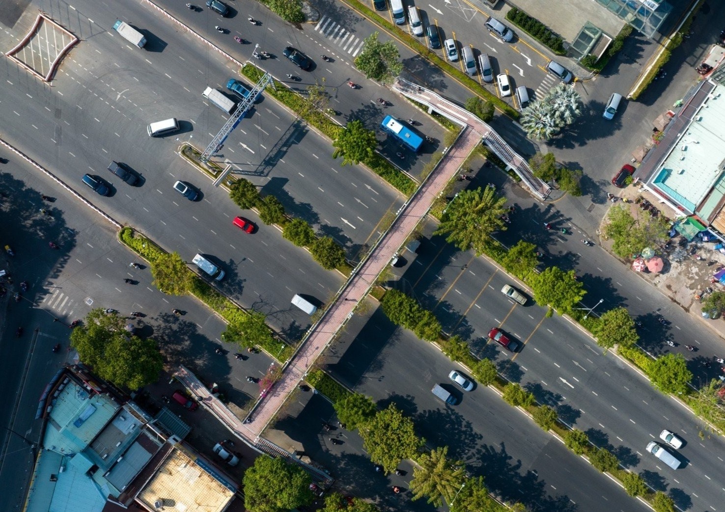 Vi sao nguoi dan o TP.HCM 'ngo lo' cau bo hanh? hinh anh