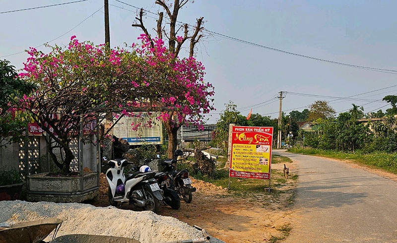 Giam sat chat, xu ly nghiem dich vu tham my tra hinh hinh anh