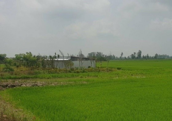 cao toc Chau Doc anh 2