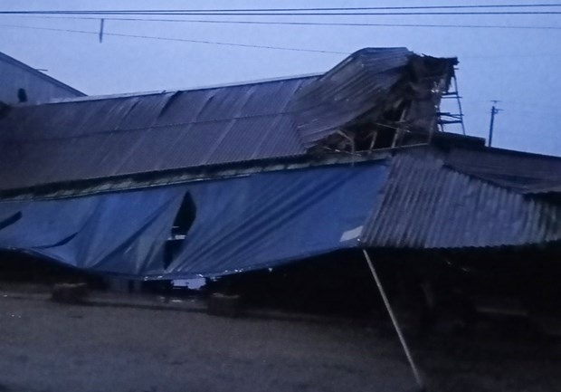 Mot nguoi dang cay lua ngoai dong bi set danh tu vong hinh anh