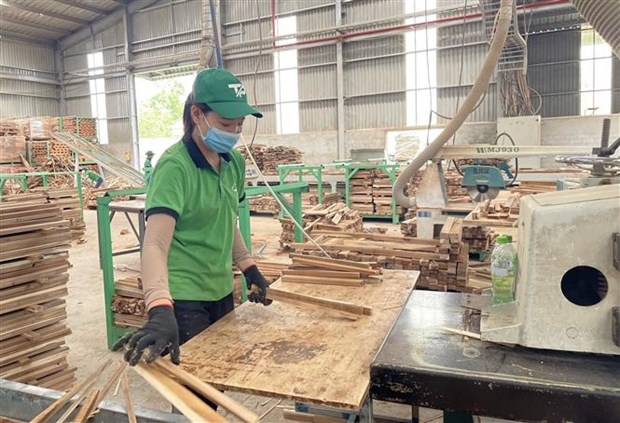 Quyet liet go kho, thuc day san xuat va xuat khau lam - thuy san hinh anh