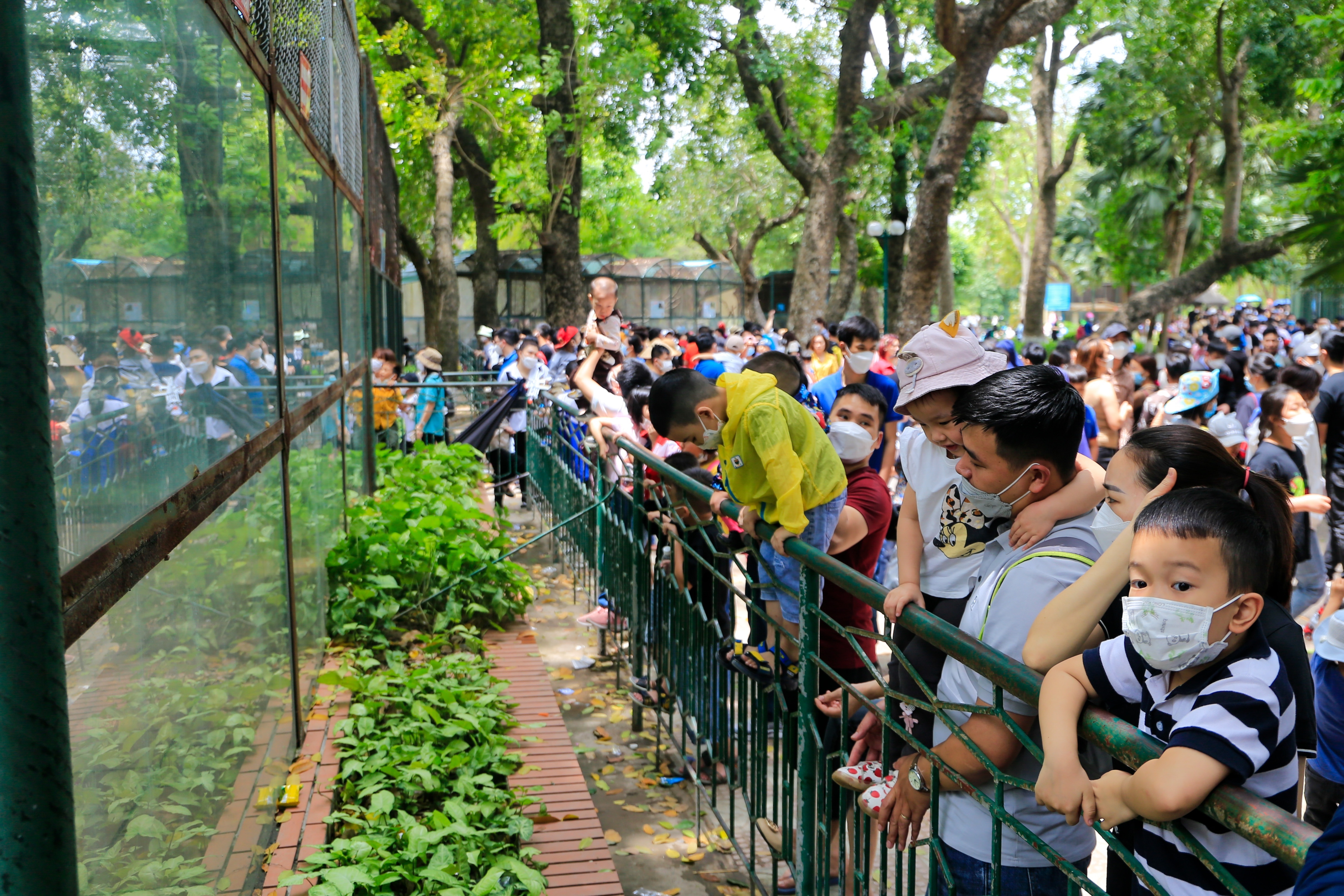 Ha Noi se cai tao va dau tu moi 10 cong vien hinh anh