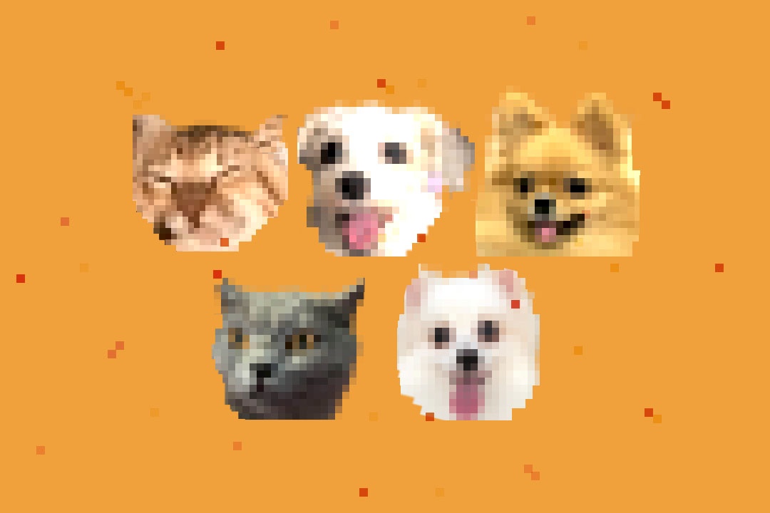 Thu cung doi cach an, ngu theo chu trong ky gian cach hinh anh