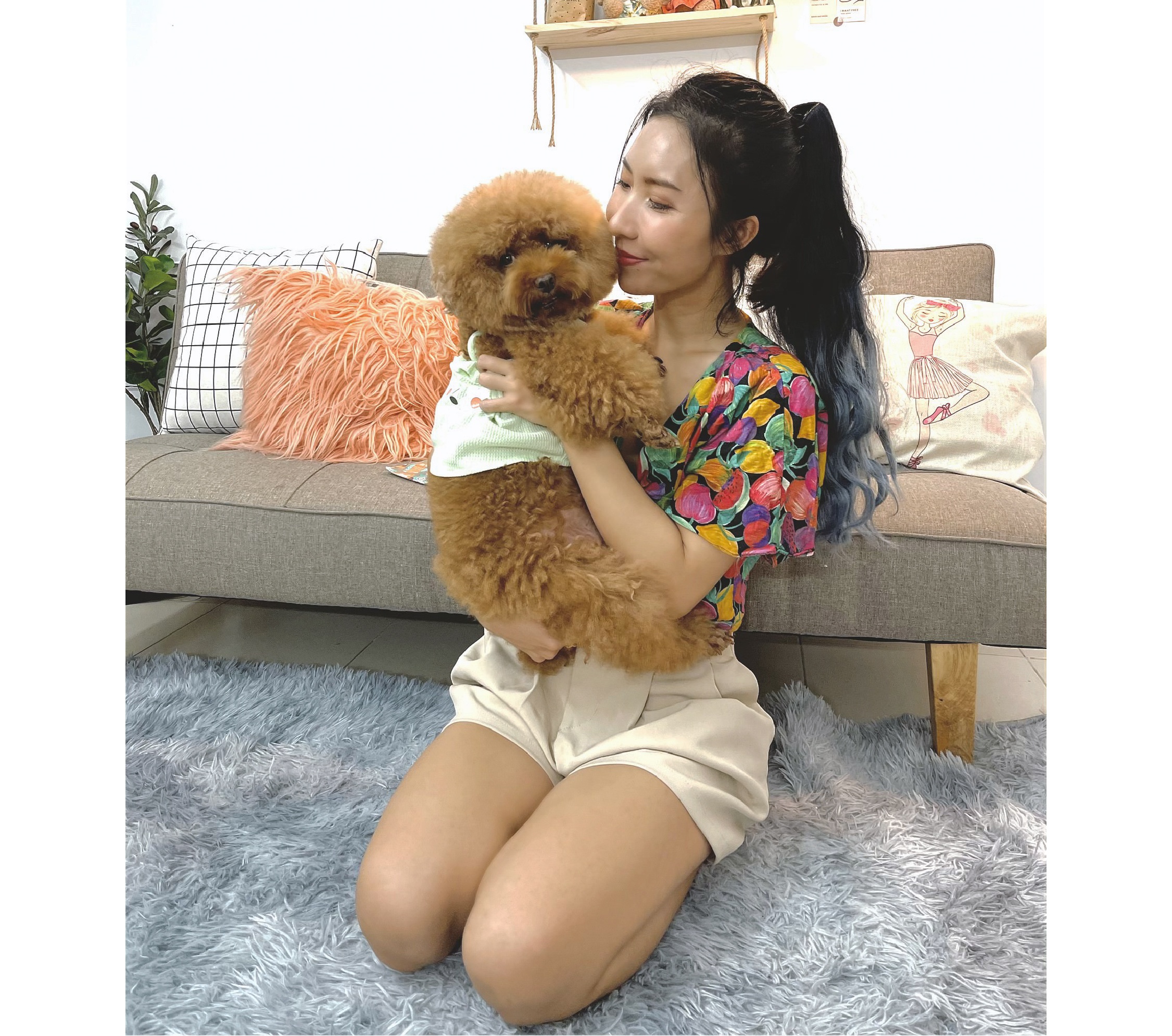 thu cung,  poodle,  cham soc poodle,  duong long cho poodle anh 2