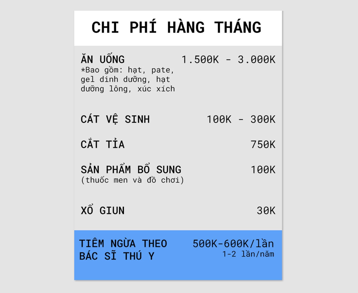 thú cưng,  mèo,  mèo anh lông ngắn,  chăm sóc thú cưng ảnh 1 thu cung,  meo,  meo anh long ngan,  cham soc thu cung anh 1