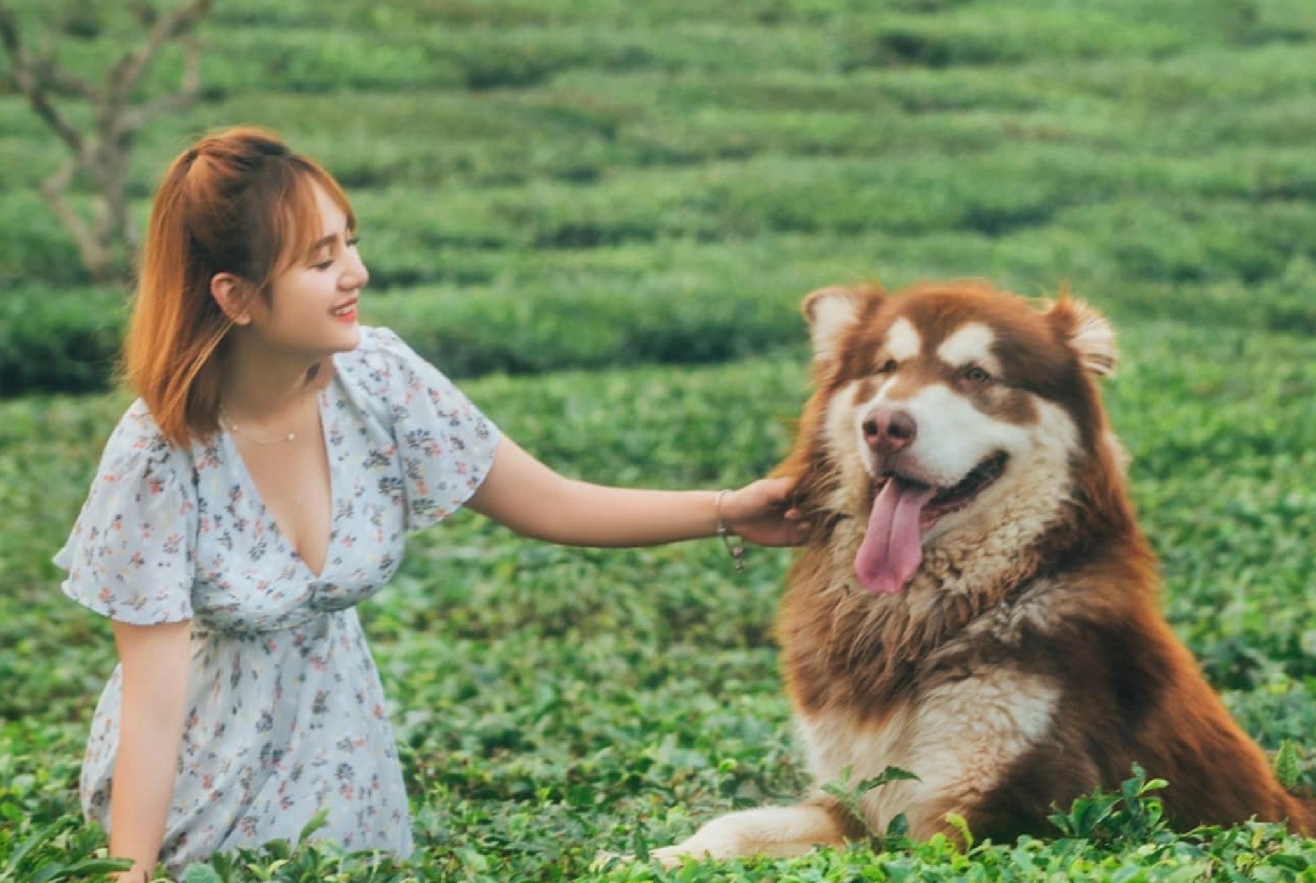 Kinh nghiem lua chon cun cung cho nguoi moi bat dau cua chu pet shop hinh anh