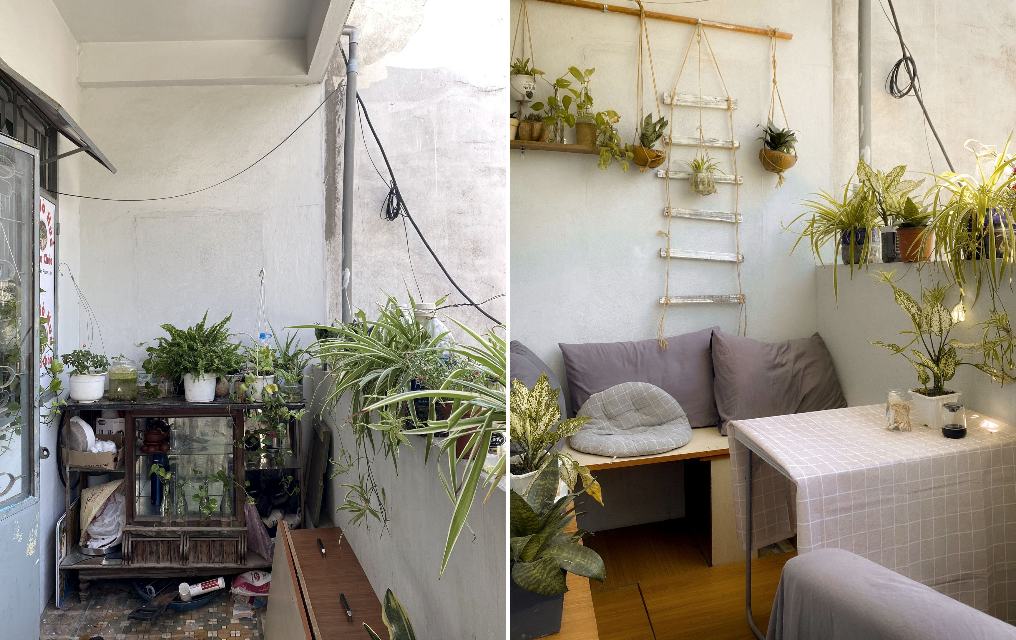 trang trí,  cải tạo ban công phòng trọ,  trồng cây,  làm vườn,  diy ảnh 7 trang tri,  cai tao ban cong phong tro,  trong cay,  lam vuon,  diy anh 7