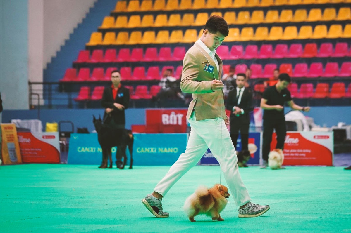 cham soc thu cung,  cham soc thu cung khi gian cach,  gian cach xa hoi anh 4