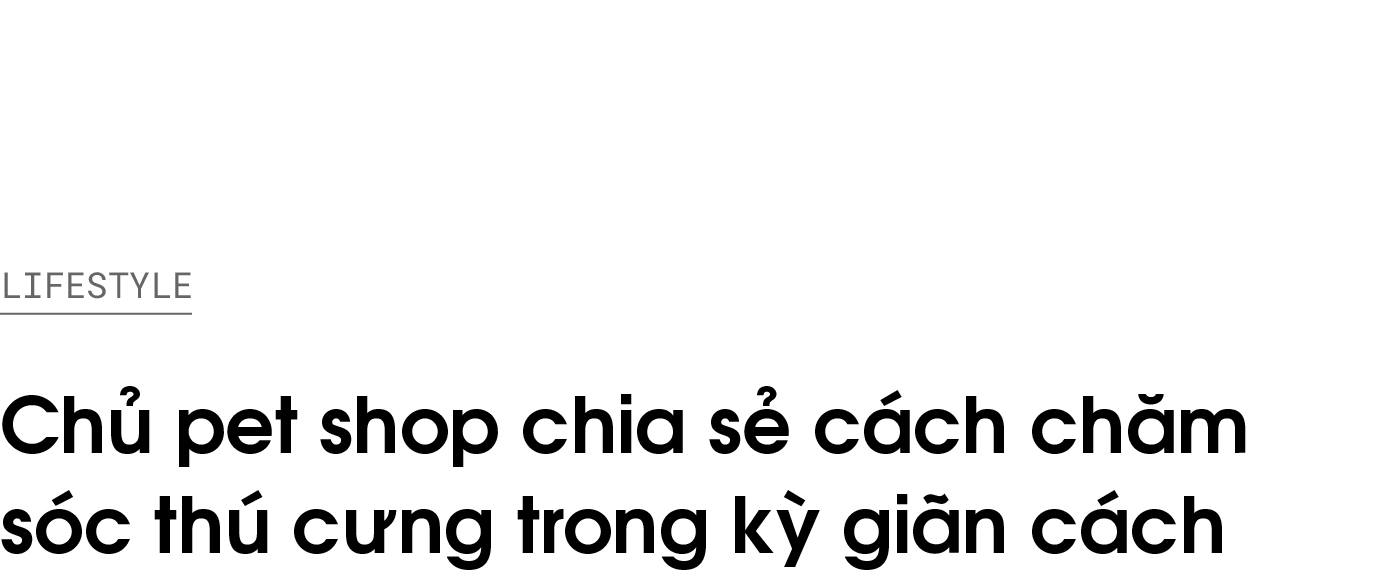 cham soc thu cung,  cham soc thu cung khi gian cach,  gian cach xa hoi anh 1
