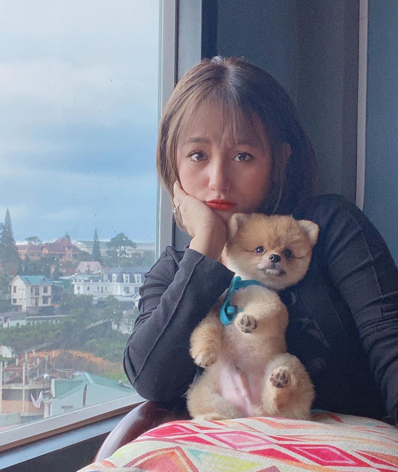 thu cung,  cham soc cun cung,  corgi,  alaska,  phoc soc anh 3