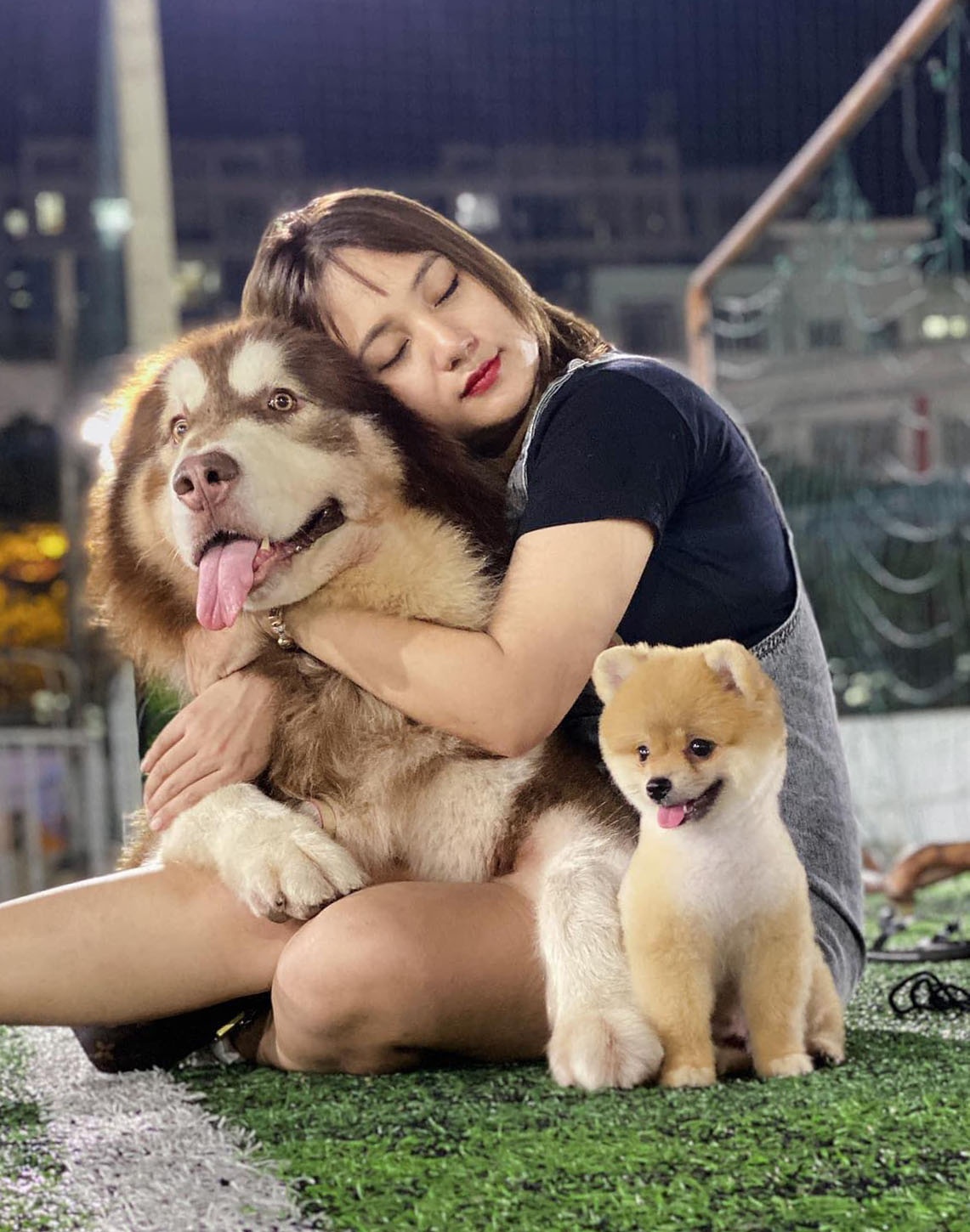 thu cung,  cham soc cun cung,  corgi,  alaska,  phoc soc anh 4