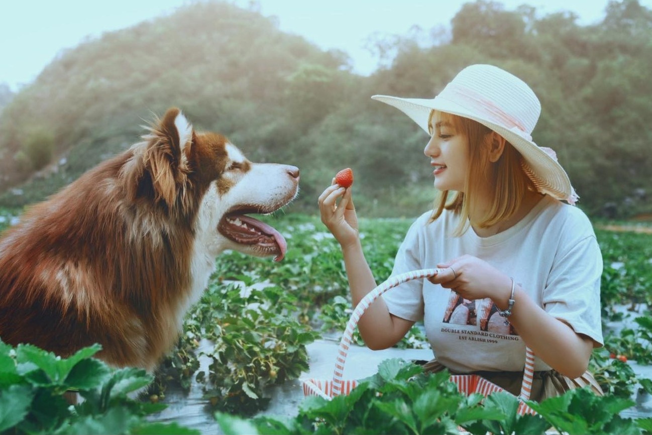 Bi quyet cham soc 3 giong cun cung quen thuoc hinh anh