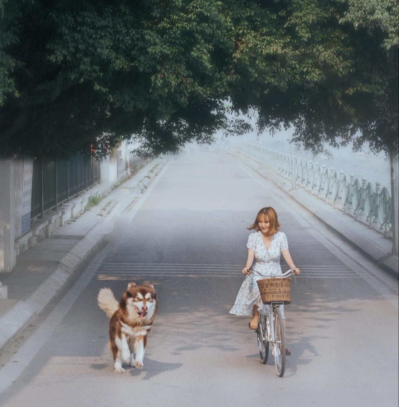 thu cung,  cham soc cun cung,  corgi,  alaska,  phoc soc anh 7