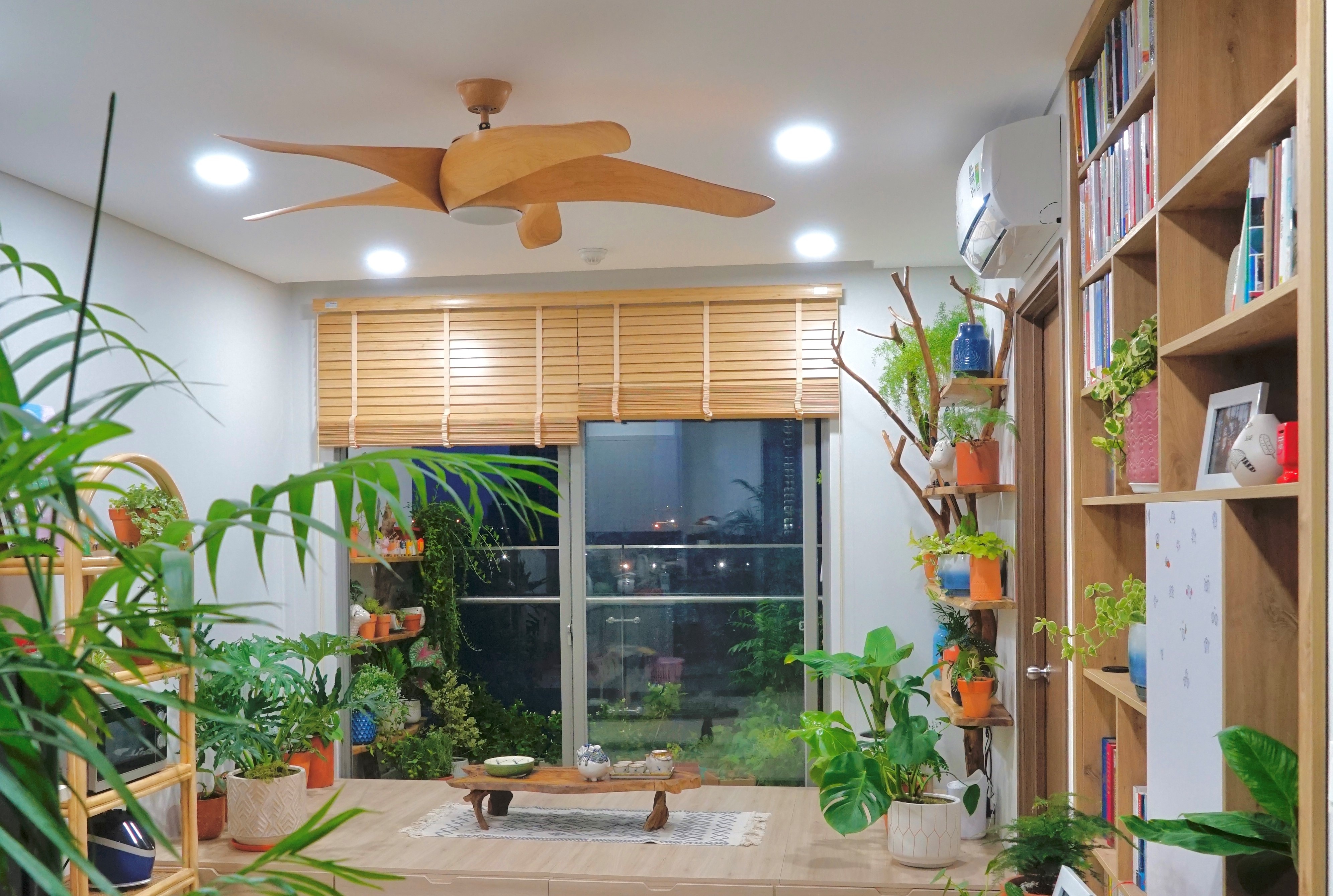 Vuon cay trong can ho 58 m2 tai TP.HCM hinh anh