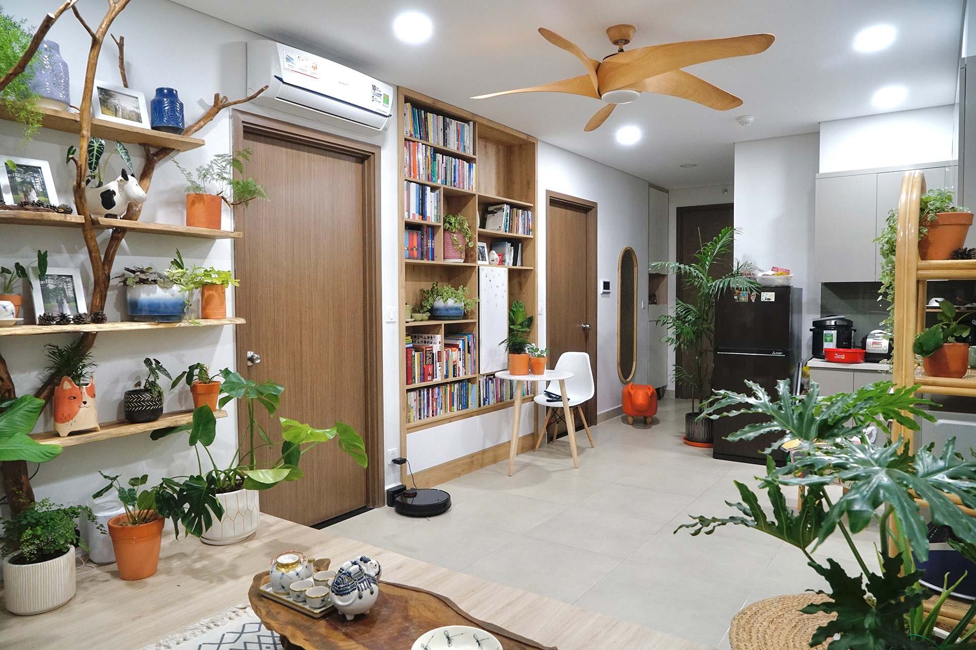 cay trong trong nha,  cach cham soc cay trong nha,  trong cay trong can ho anh 3