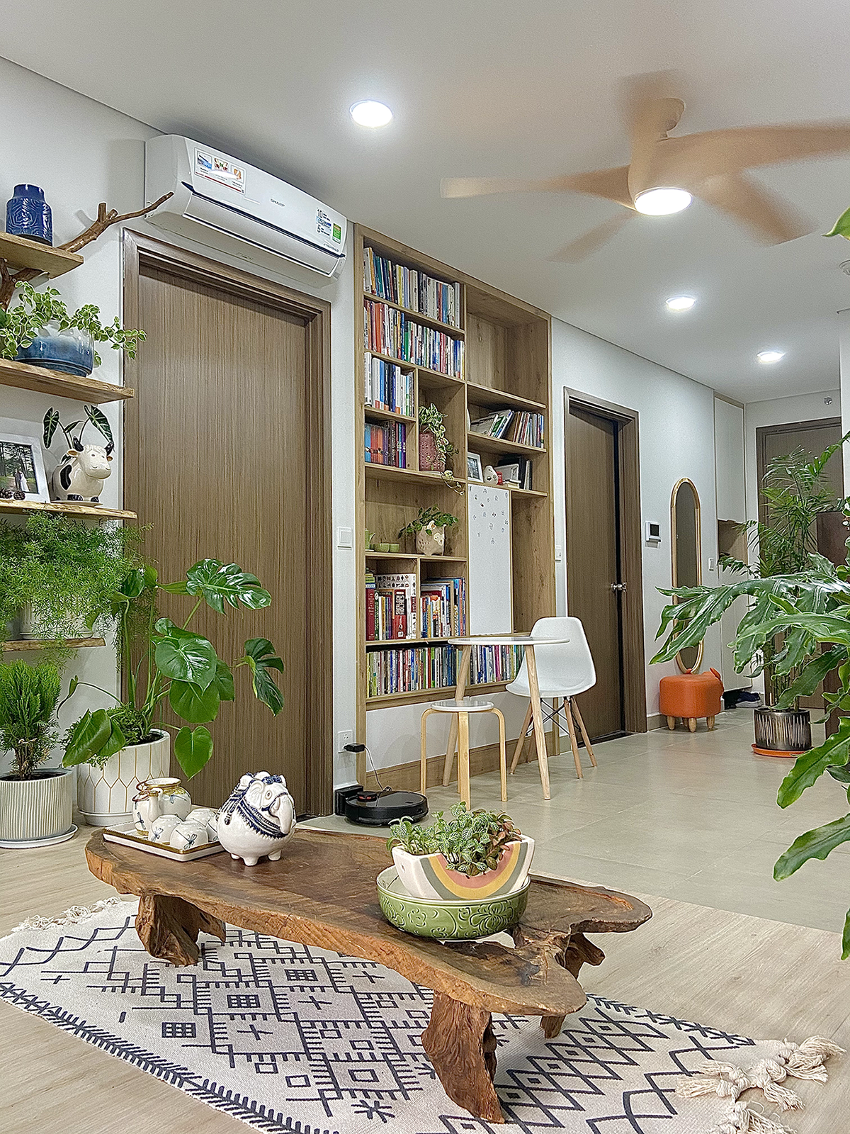 cây trồng trong nhà, cách chăm sóc cây trong nhà, trồng cây trong căn hộ ảnh 7 cay trong trong nha, cach cham soc cay trong nha, trong cay trong can ho anh 7