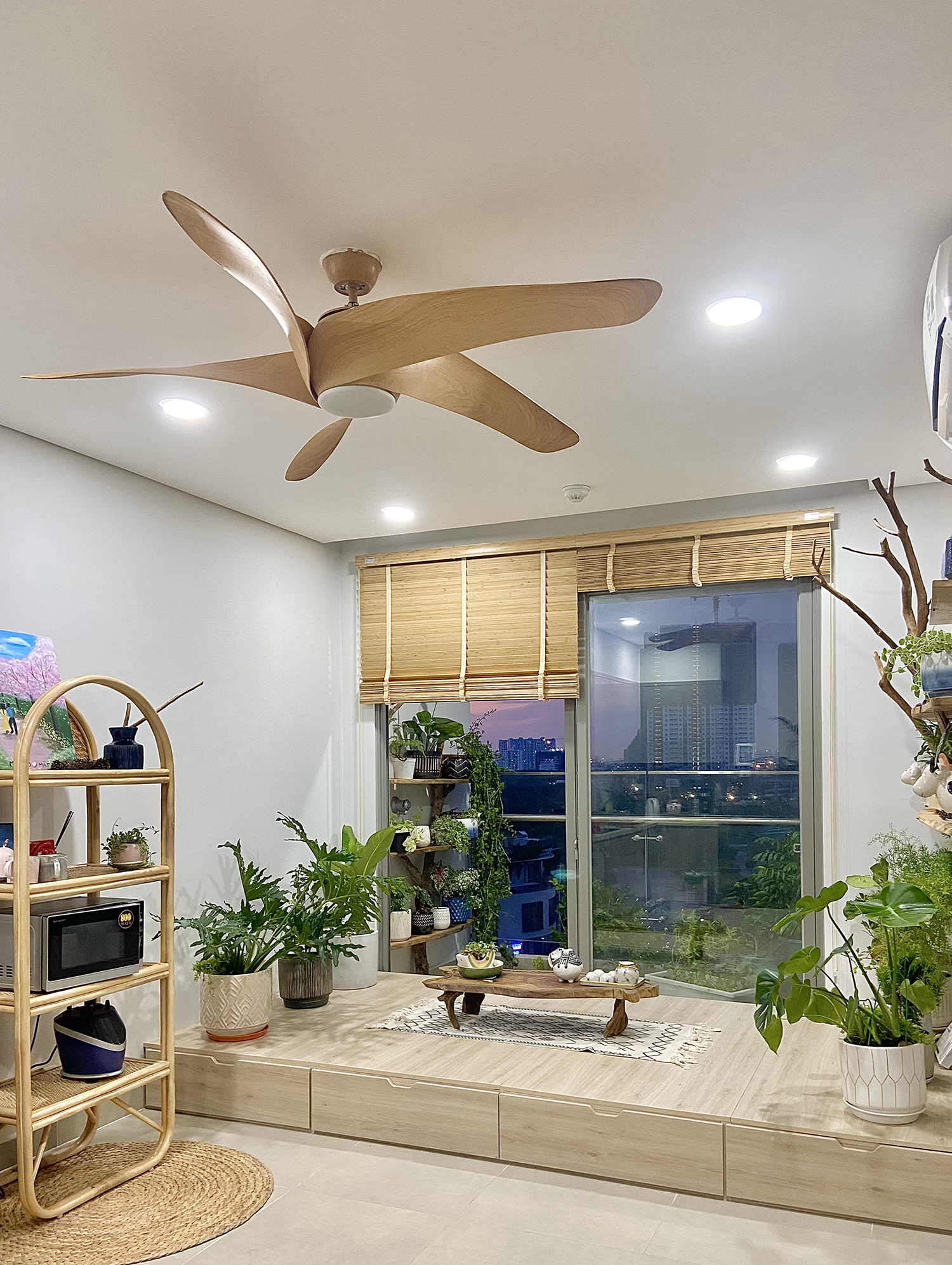 cây trồng trong nhà, cách chăm sóc cây trong nhà, trồng cây trong căn hộ ảnh 6 cay trong trong nha, cach cham soc cay trong nha, trong cay trong can ho anh 6