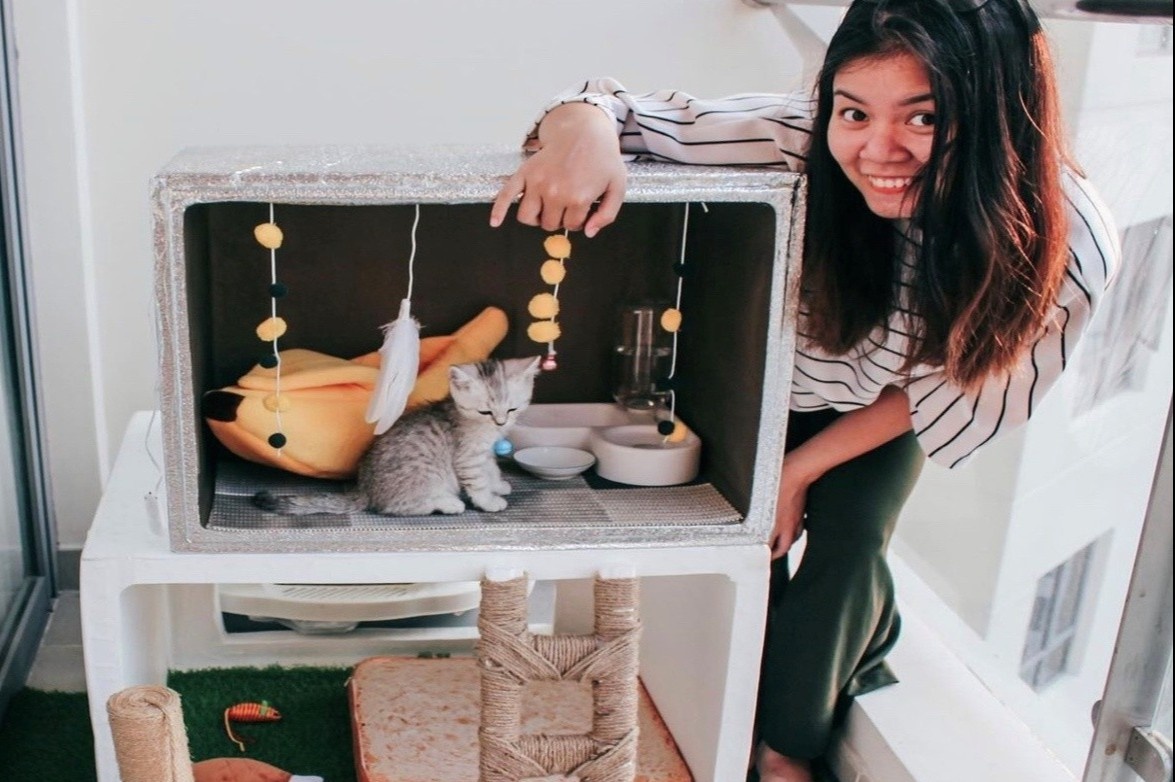 Tu lam nha cho meo trong thoi gian gian cach xa hoi hinh anh