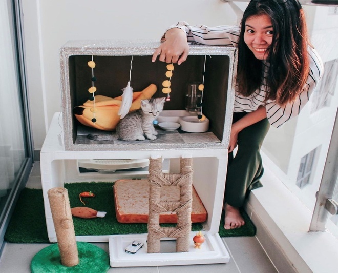 làm nhà cho mèo,  thùng xốp,  mèo anh lông ngắn,  giãn cách xã hội ảnh 2 lam nha cho meo,  thung xop,  meo anh long ngan,  gian cach xa hoi anh 2