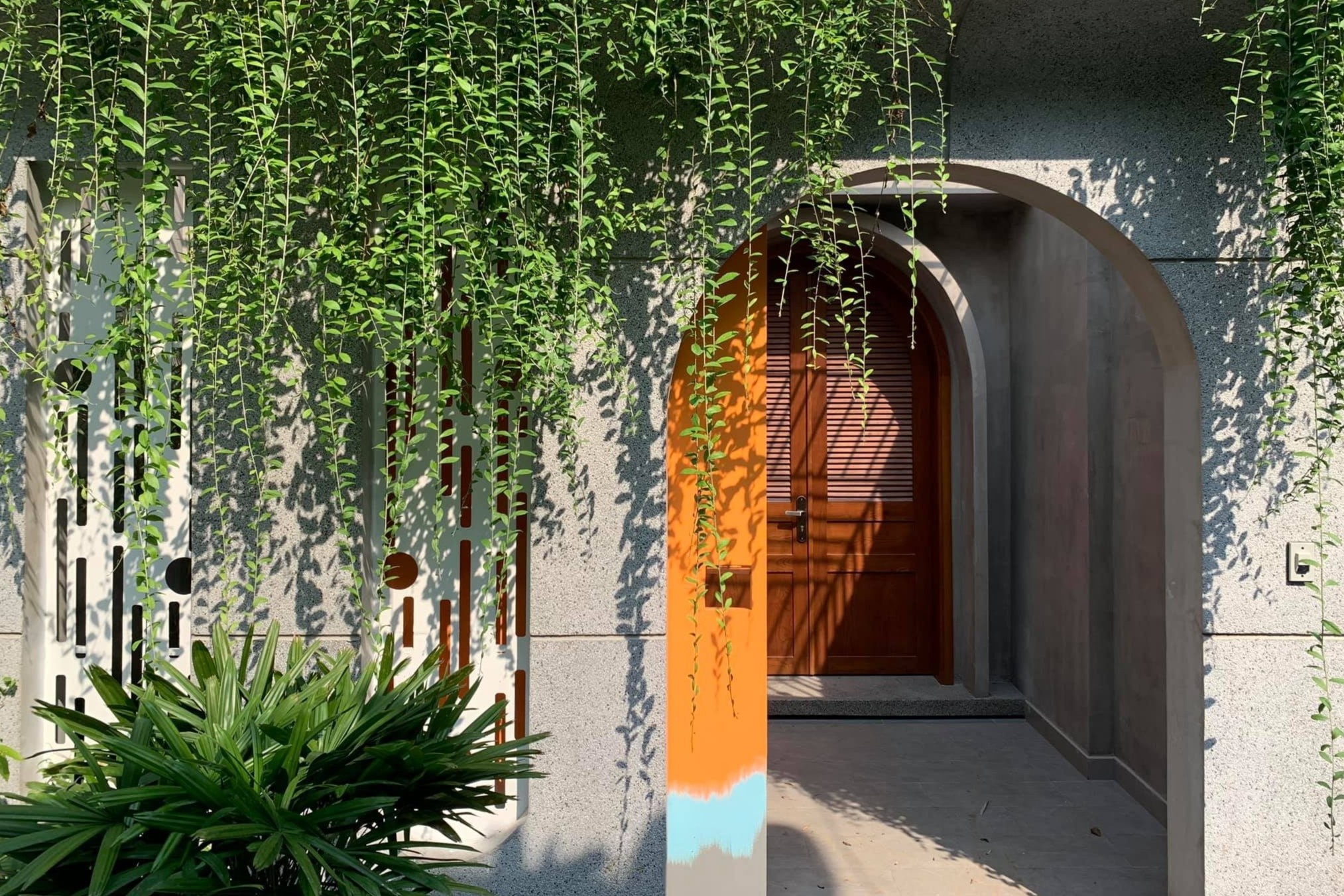 Cai tao nha ong 15 nam tuoi tai TP.HCM thanh khong gian song xanh hinh anh