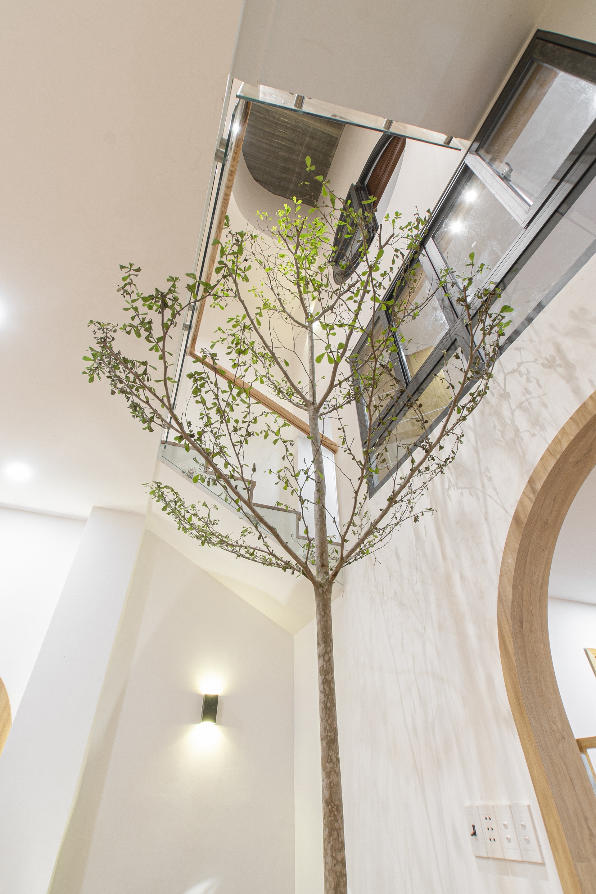 thiết kế nhà,  cải tạo nhà,  phong cách hiện đại ảnh 15 thiet ke nha,  cai tao nha,  phong cach hien dai anh 15