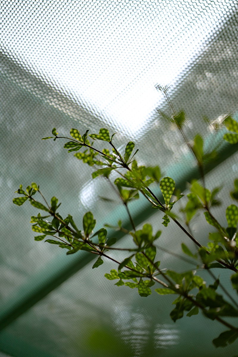 nhà trong hẻm, nhà phong cách hiện đại ảnh 14 nha trong hem, nha phong cach hien dai anh 14