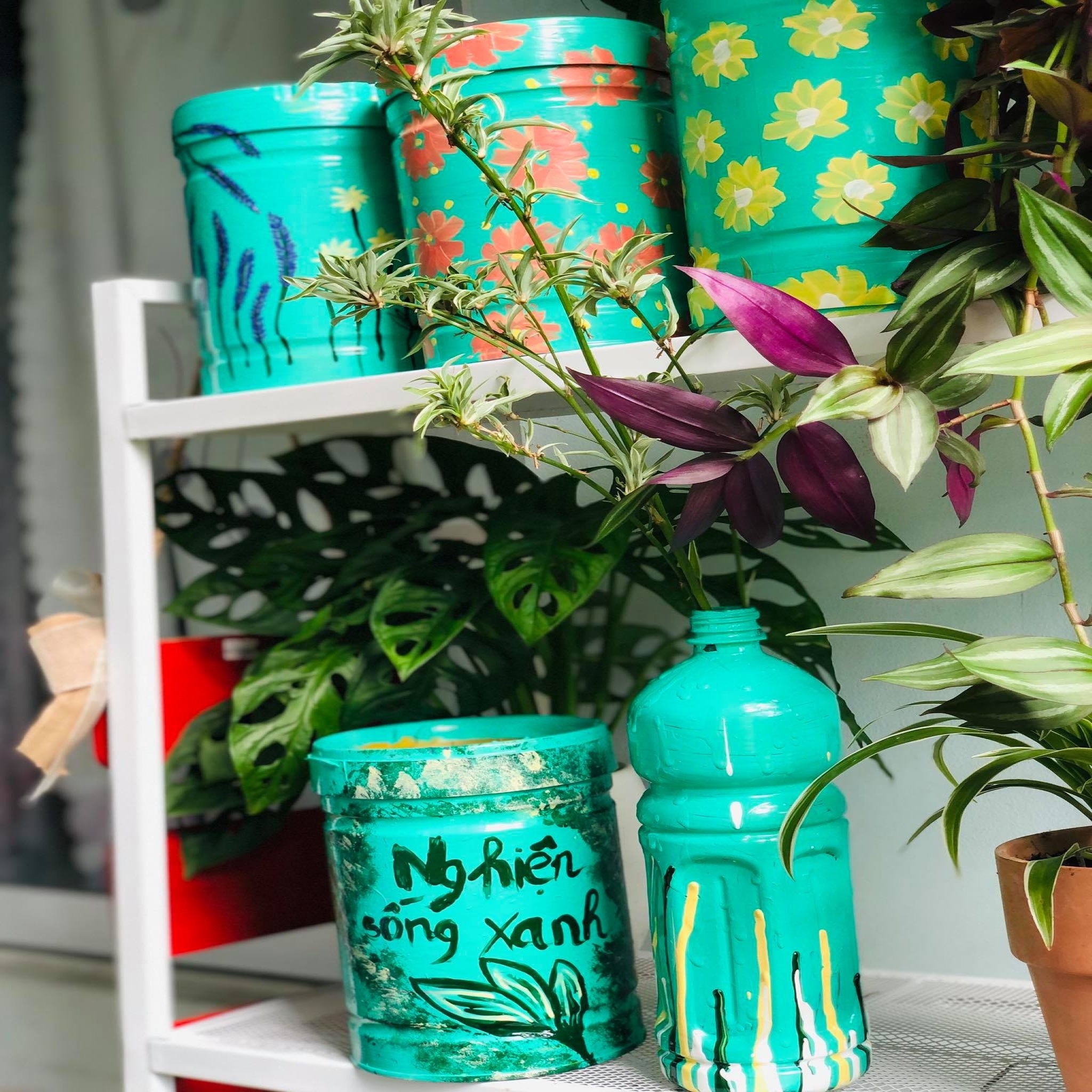 cham soc cay,  do tai che anh 7