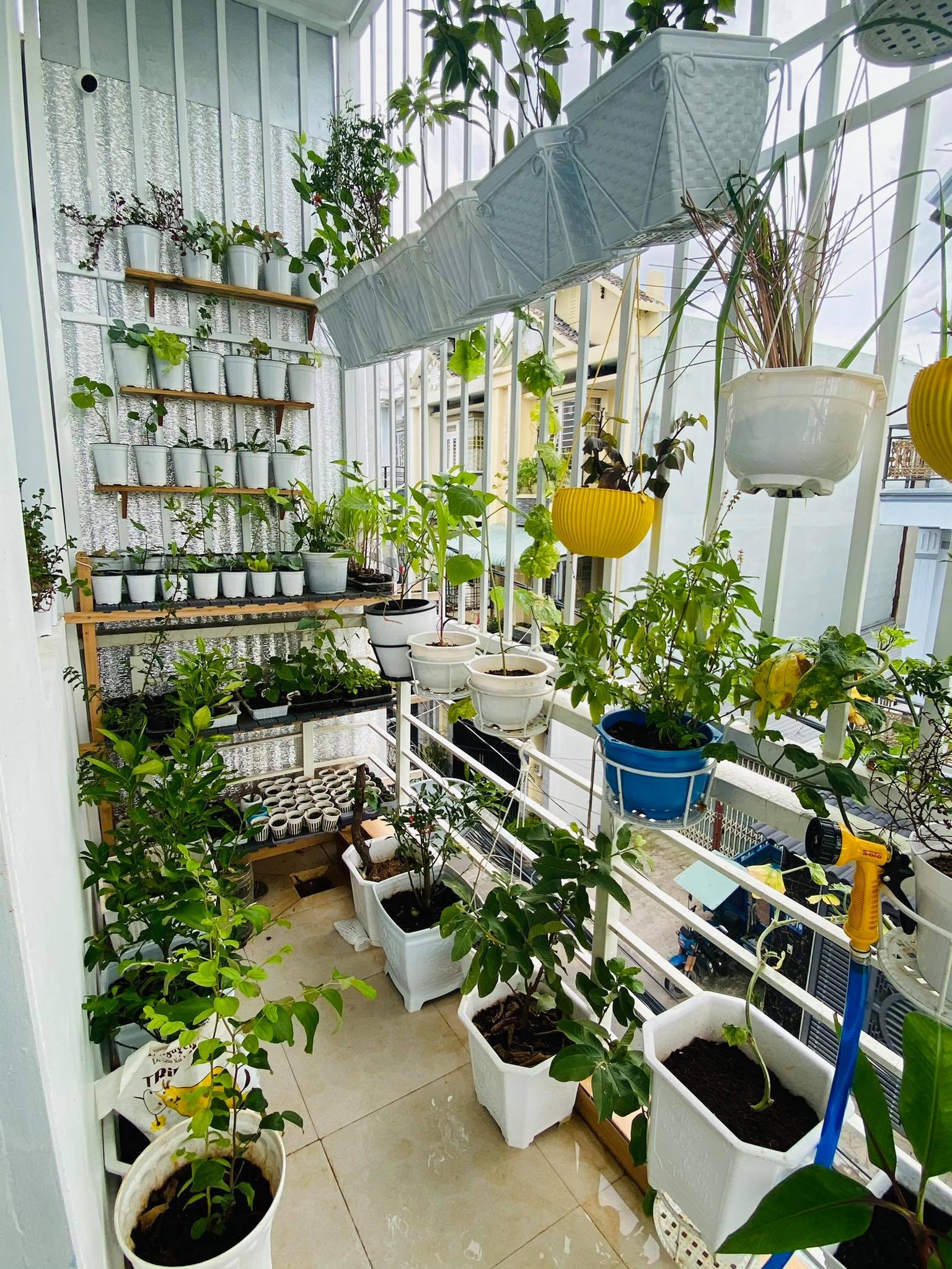 cham soc cay,  do tai che anh 3