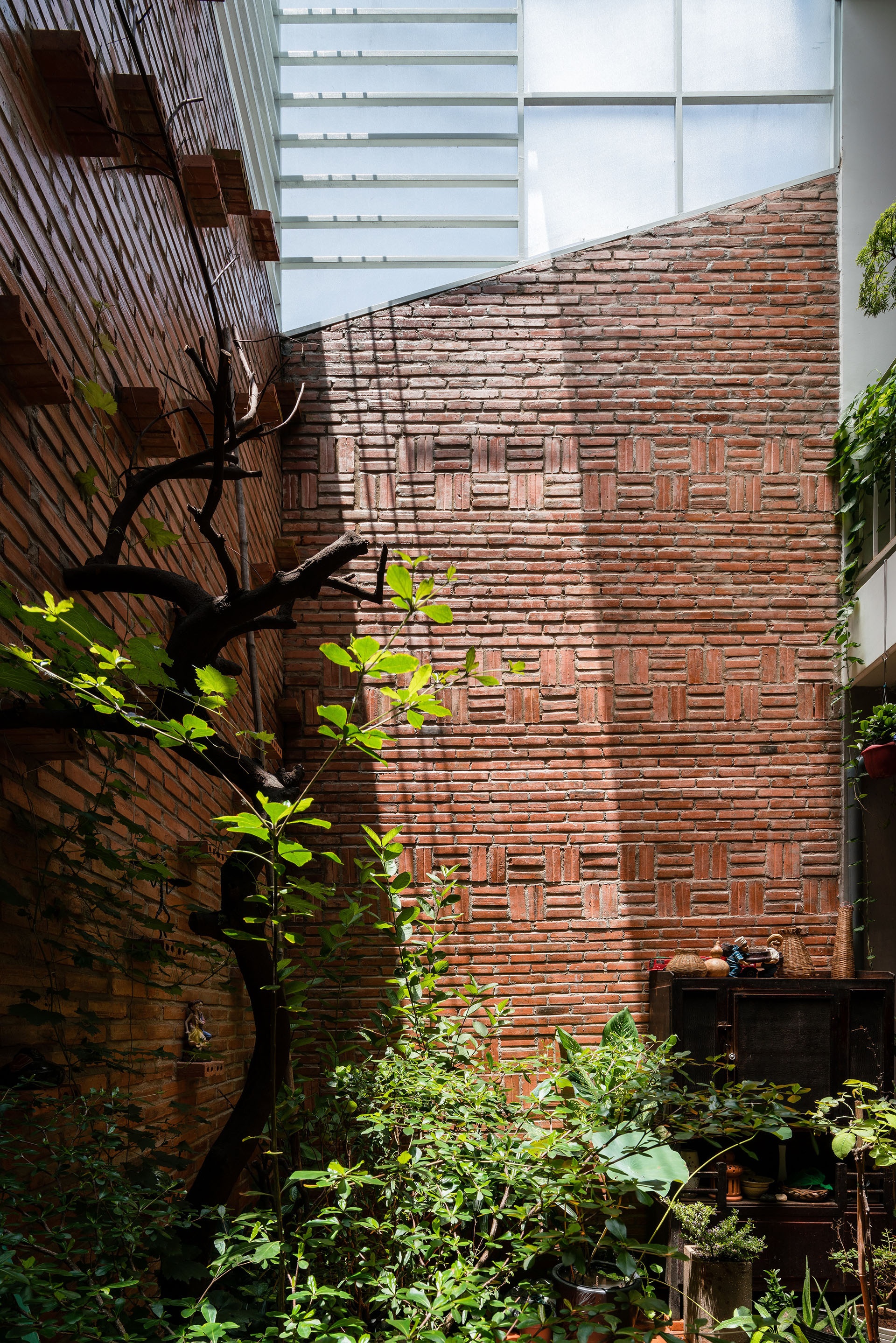the backyard house,  cải tạo nhà,  hiện đại,  truyền thống ảnh 14 the backyard house,  cai tao nha,  hien dai,  truyen thong anh 14