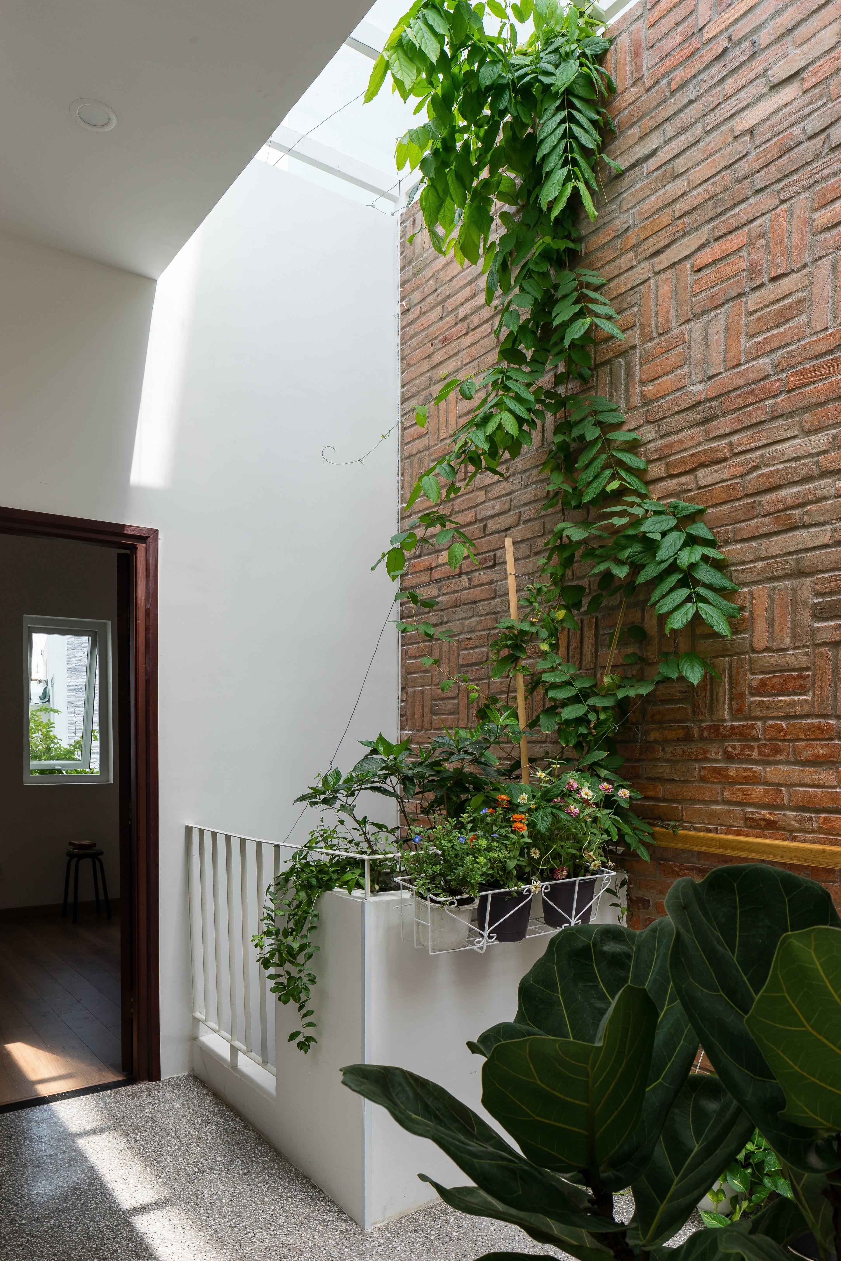 the backyard house,  cải tạo nhà,  hiện đại,  truyền thống ảnh 4 the backyard house,  cai tao nha,  hien dai,  truyen thong anh 4