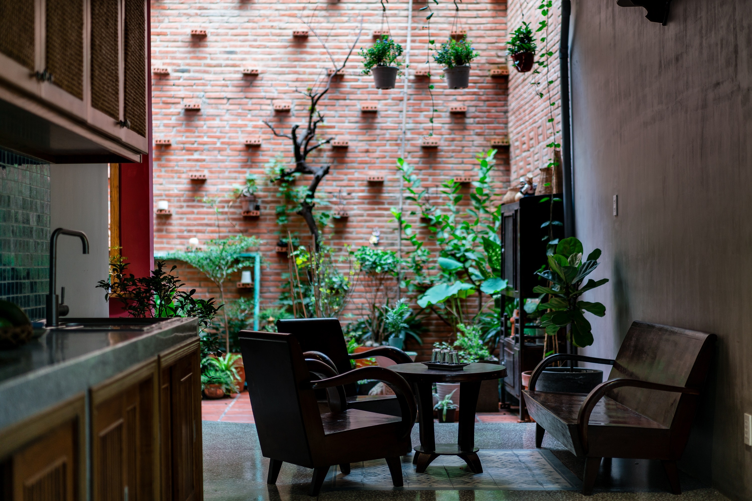 the backyard house,  cải tạo nhà,  hiện đại,  truyền thống ảnh 6 the backyard house,  cai tao nha,  hien dai,  truyen thong anh 6