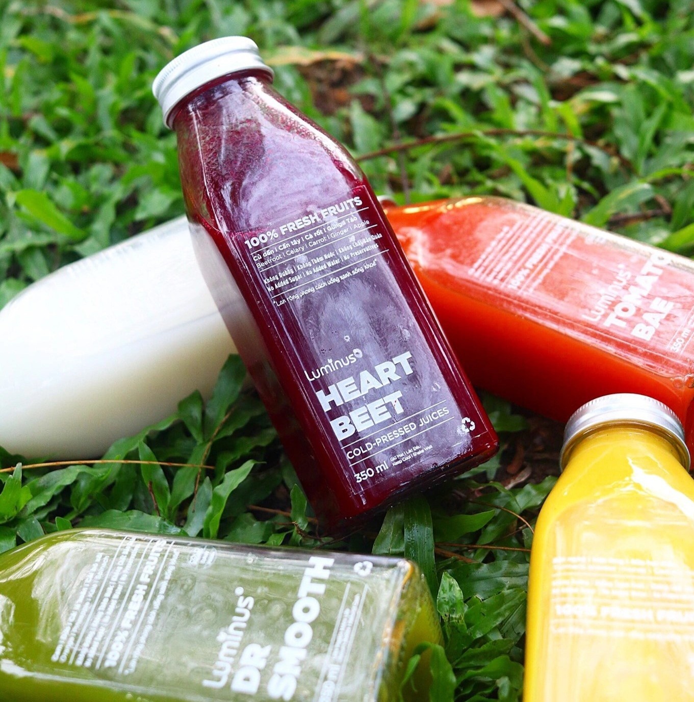 nuoc ep o tphcm,  thuong thuc nuoc ep o tphcm,  nuoc ep trai cay,  dia chi ban nuoc ep o tphcm anh 1