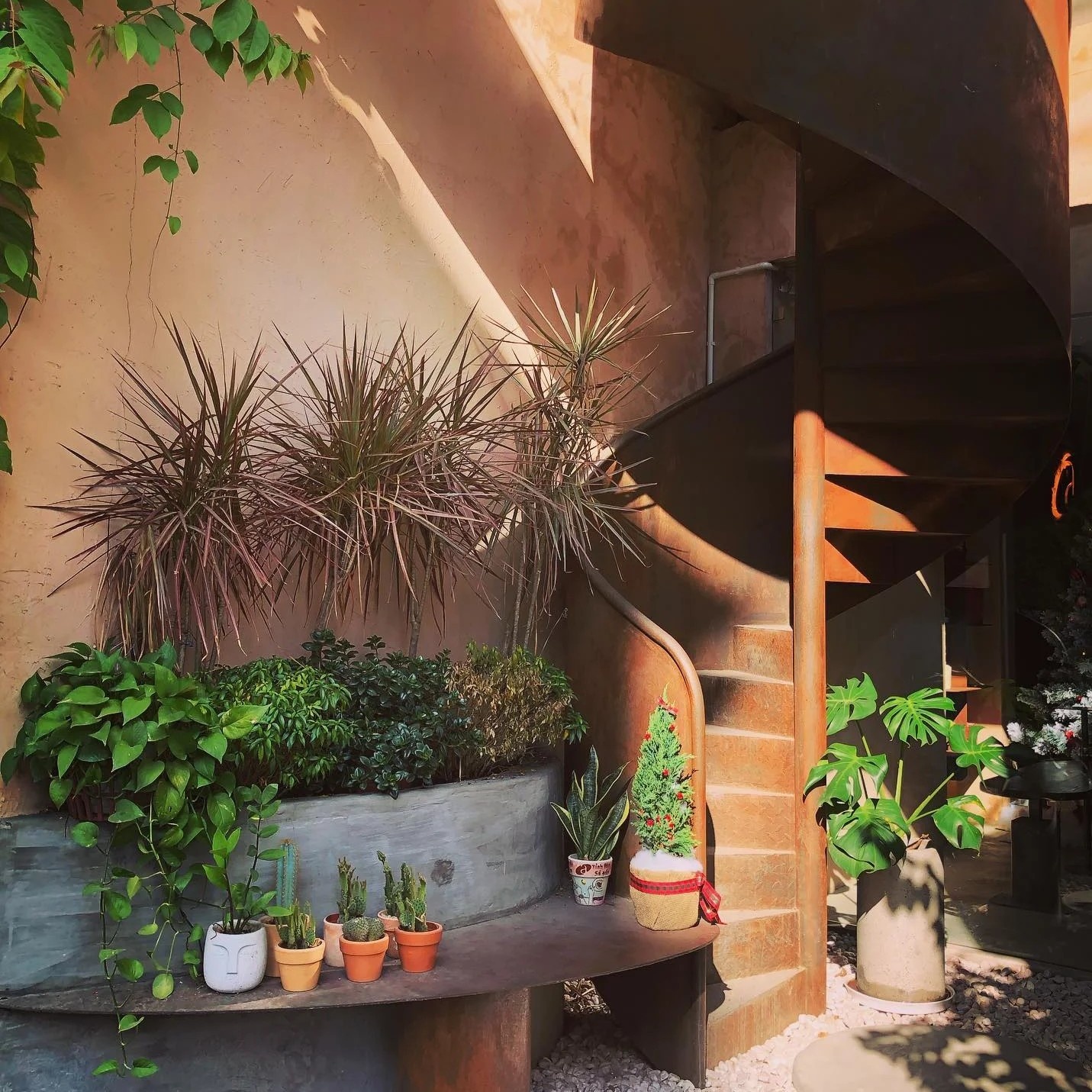 ca phe muoi,  thuong thuc ca phe muoi o tp.hcm,  quan ca phe muoi o tp.hcm anh 5