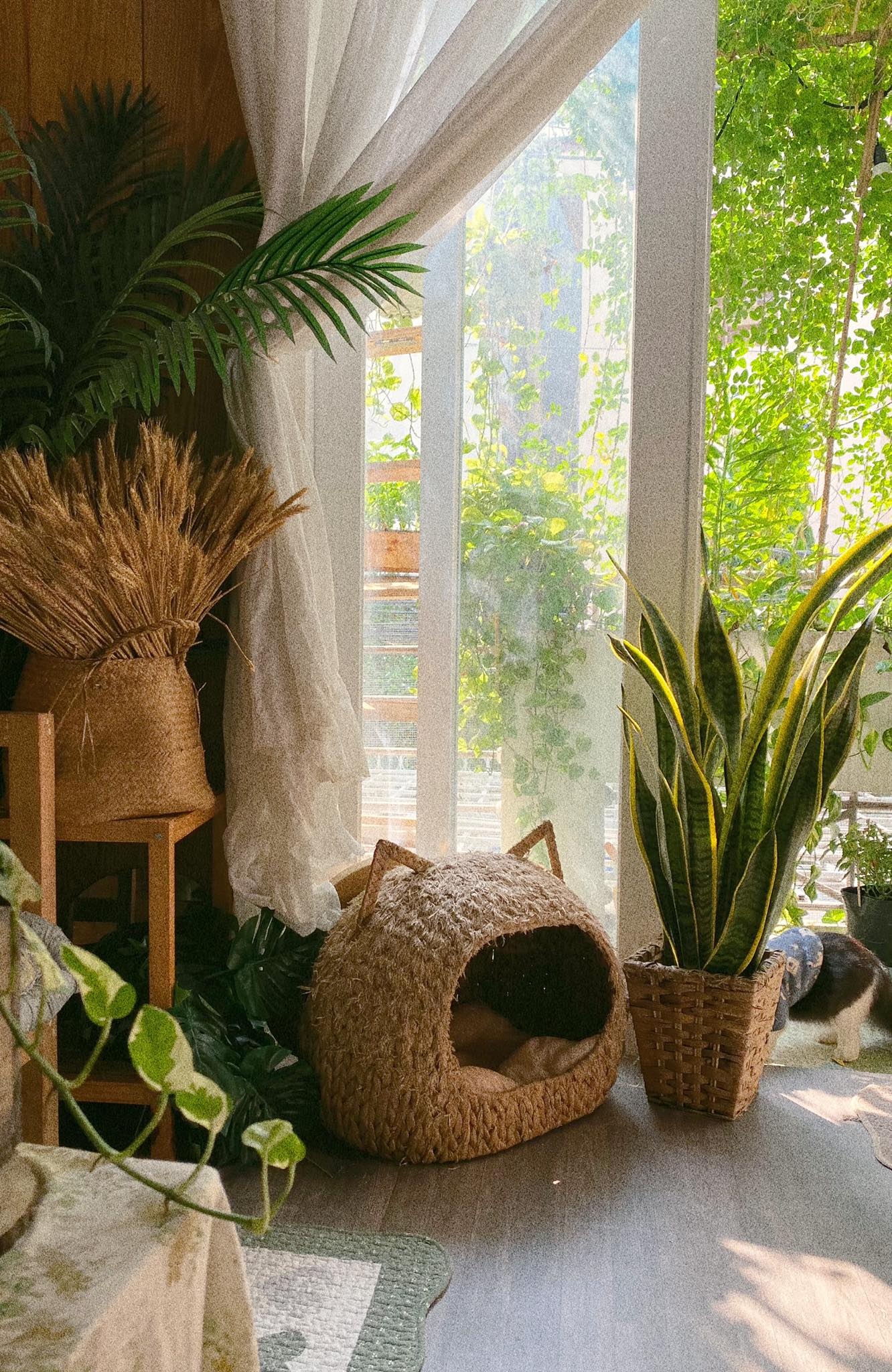 cai tao phong thanh studio chup anh,  cai tao phong theo phong cach Bohemian,  phong cach Bohemian anh 9