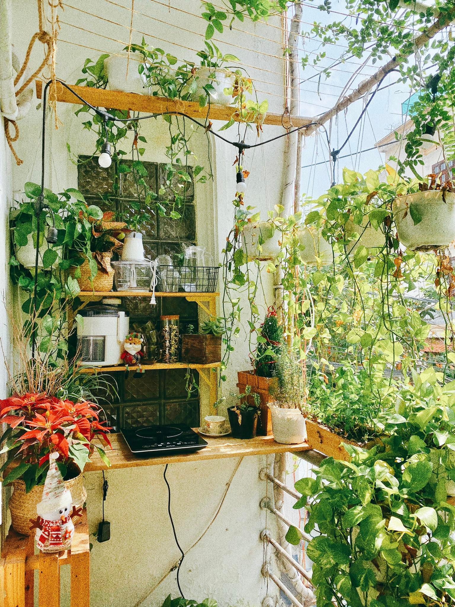 cai tao phong thanh studio chup anh,  cai tao phong theo phong cach Bohemian,  phong cach Bohemian anh 11