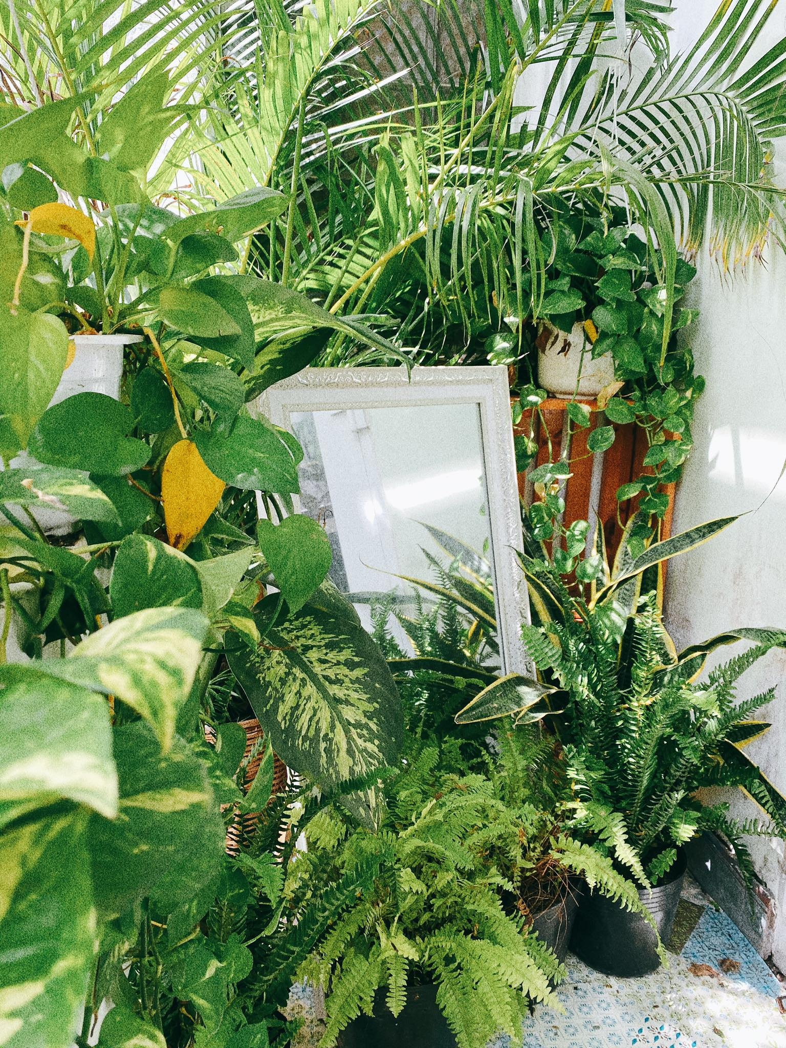 cai tao phong thanh studio chup anh,  cai tao phong theo phong cach Bohemian,  phong cach Bohemian anh 12