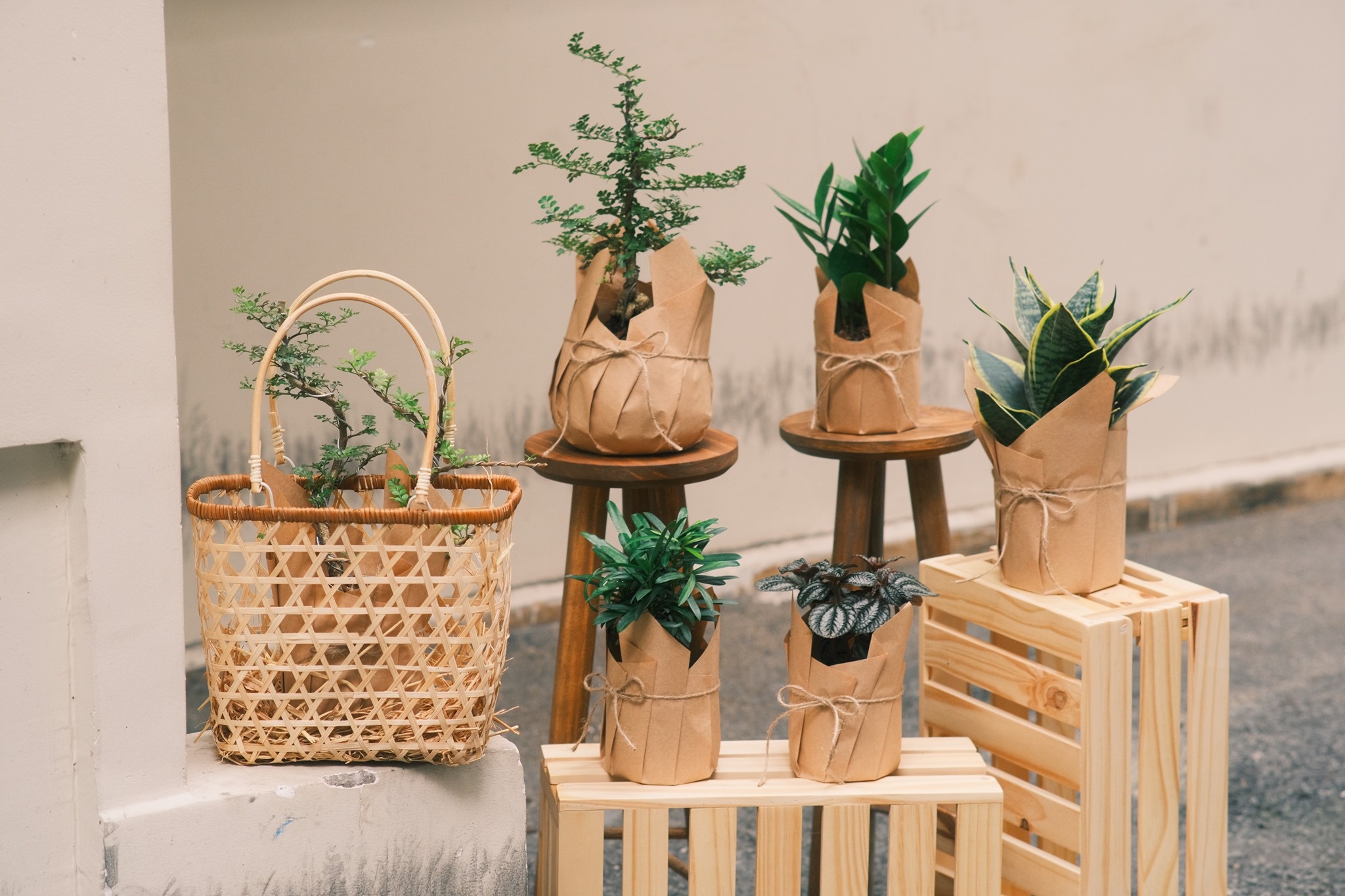 Goi y hoat dong cho nhung ngay 'khong biet lam gi' hinh anh