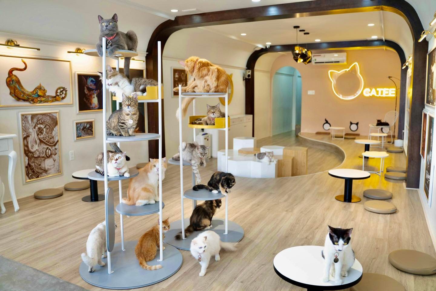 do an healthy,  eat clean,  tro choi van dong trong nha,  hoat dong cham soc the chat,  hoat dong cham soc tinh than,  tu cham soc ban than anh 5