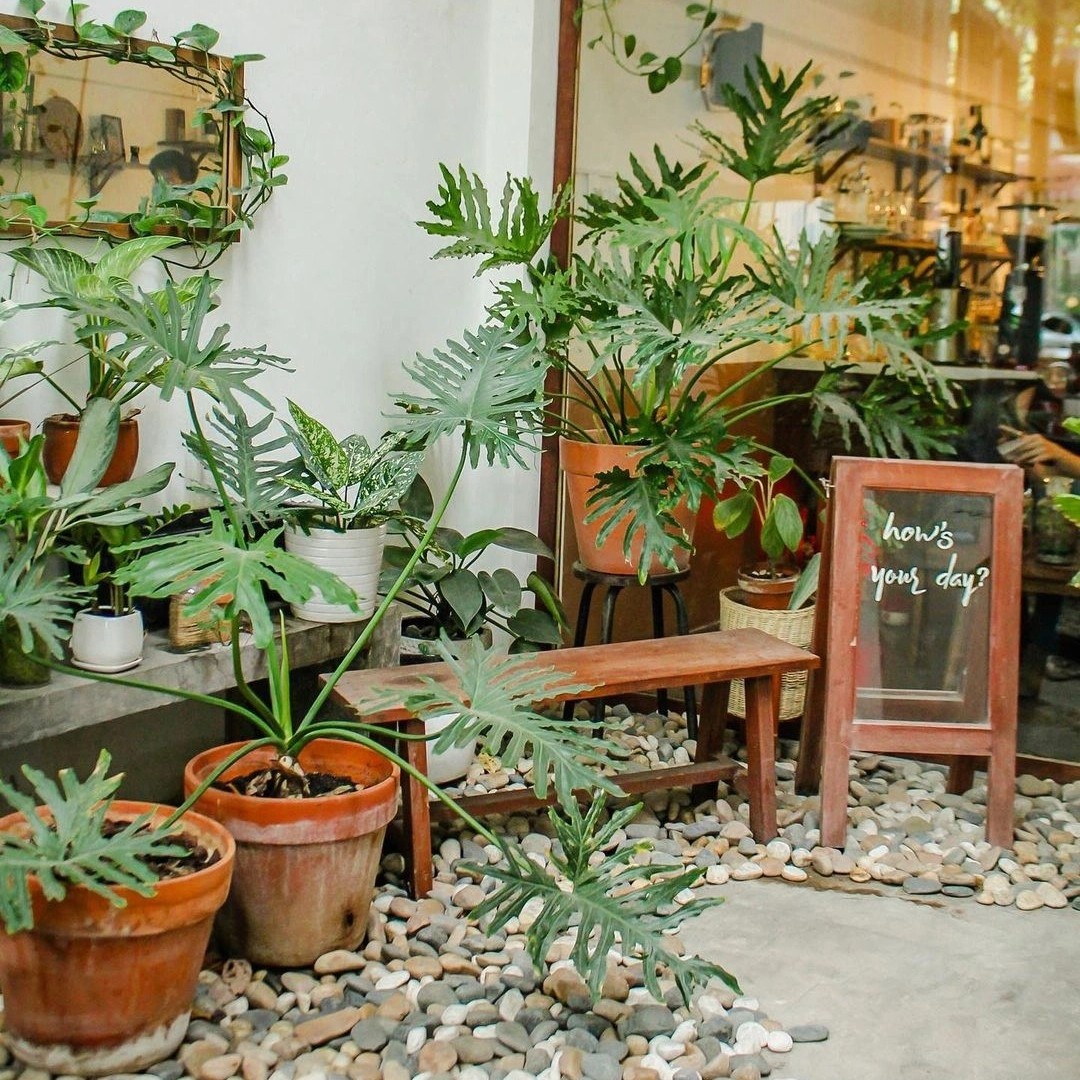 quán cà phê dành cho người thích một mình, quán cà phê tại TP.HCM, quán cà phê đẹp tại TP.HCM, quán cà phê có không gian yên tĩnh tại TP.HCM ảnh 3 quan ca phe danh cho nguoi thich mot minh, quan ca phe tai TP.HCM, quan ca phe dep tai TP.HCM, quan ca phe co khong gian yen tinh tai TP.HCM anh 3