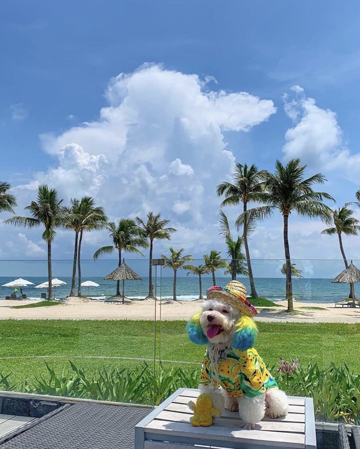 du lịch Phú Quốc, hoạt động du lịch ở Phú Quốc, trải nghiệm du lịch ở Phú Quốc ảnh 7 du lich Phu Quoc, hoat dong du lich o Phu Quoc, trai nghiem du lich o Phu Quoc anh 7