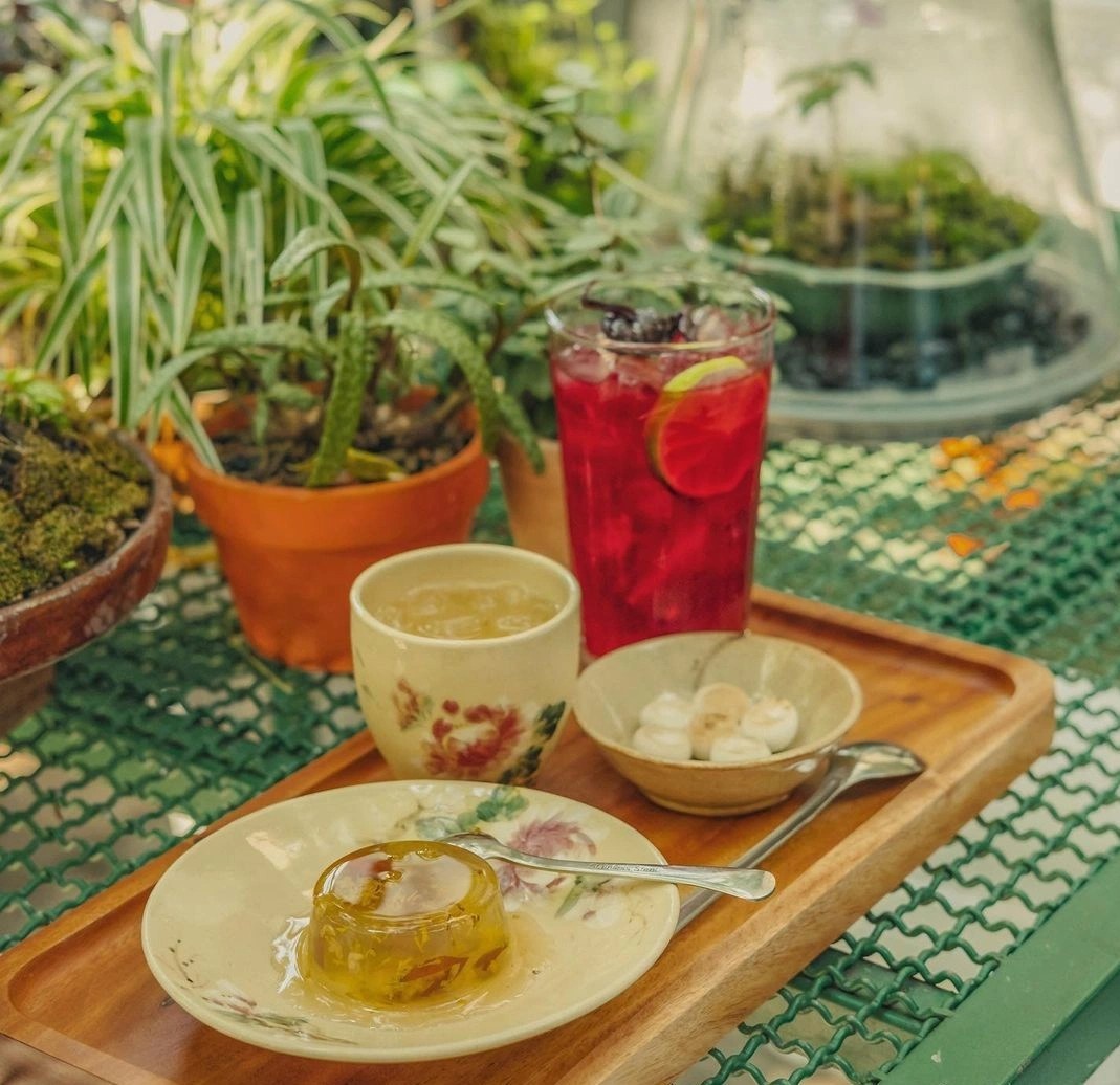 quan ca phe ket hop tiem hoa o TP.HCM,  quan ca phe ket hop tiem cay o TP.HCM,  quan ca phe xanh o TP.HCM anh 13