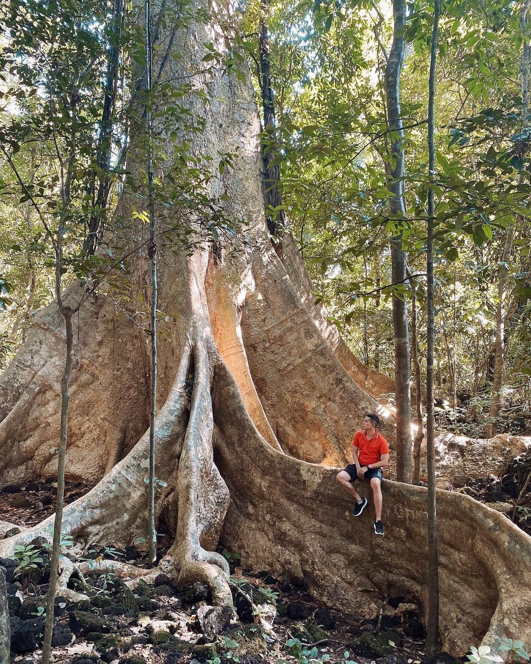 cung đường trekking phù hợp với người mới bắt đầu, các cung đường trekking đơn giản, trekking ở Việt Nam, Núi Bà Đen, Núi Đá Đỏ, Bàu Sấu ảnh 9 cung duong trekking phu hop voi nguoi moi bat dau, cac cung duong trekking don gian, trekking o Viet Nam, Nui Ba Den, Nui Da Do, Bau Sau anh 9