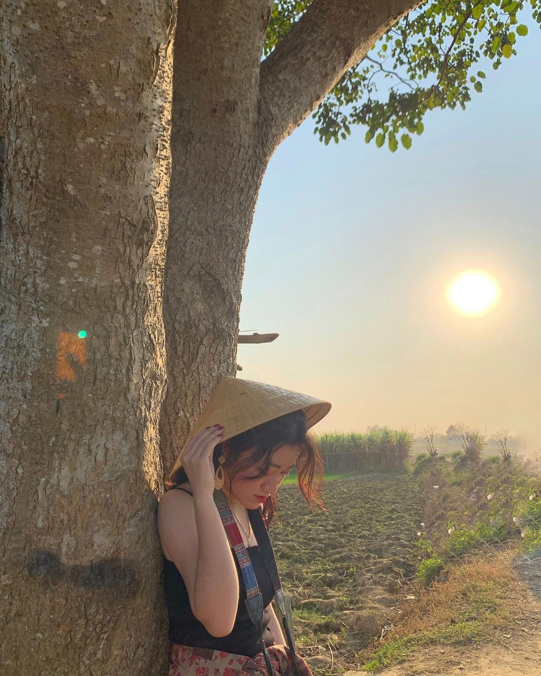 check-in cung cay co don,  bao ve cay co don,  cac diem du lich co cay co don anh 5