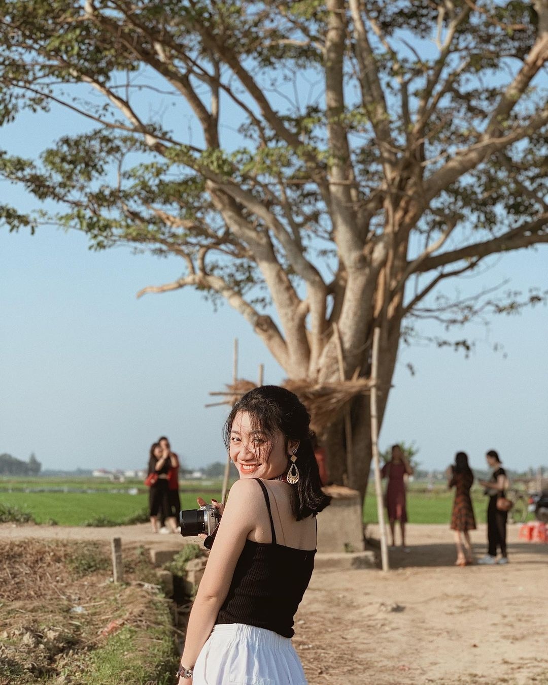 check-in cung cay co don,  bao ve cay co don,  cac diem du lich co cay co don anh 6