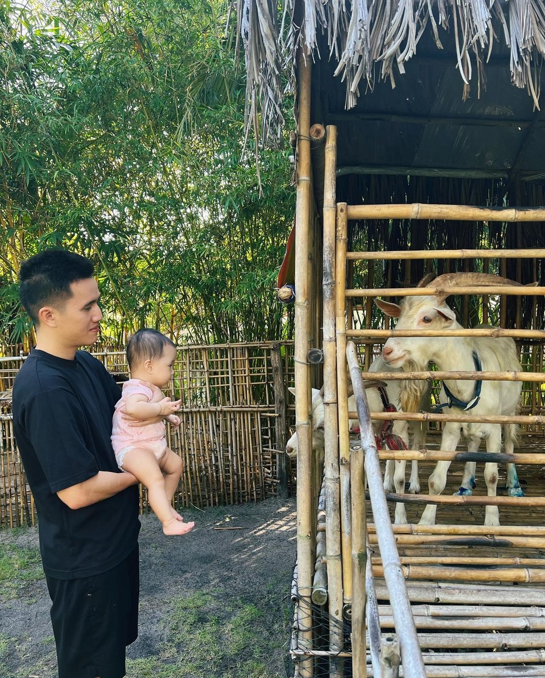 du lịch Phú Quốc ảnh 7 du lich Phu Quoc anh 7