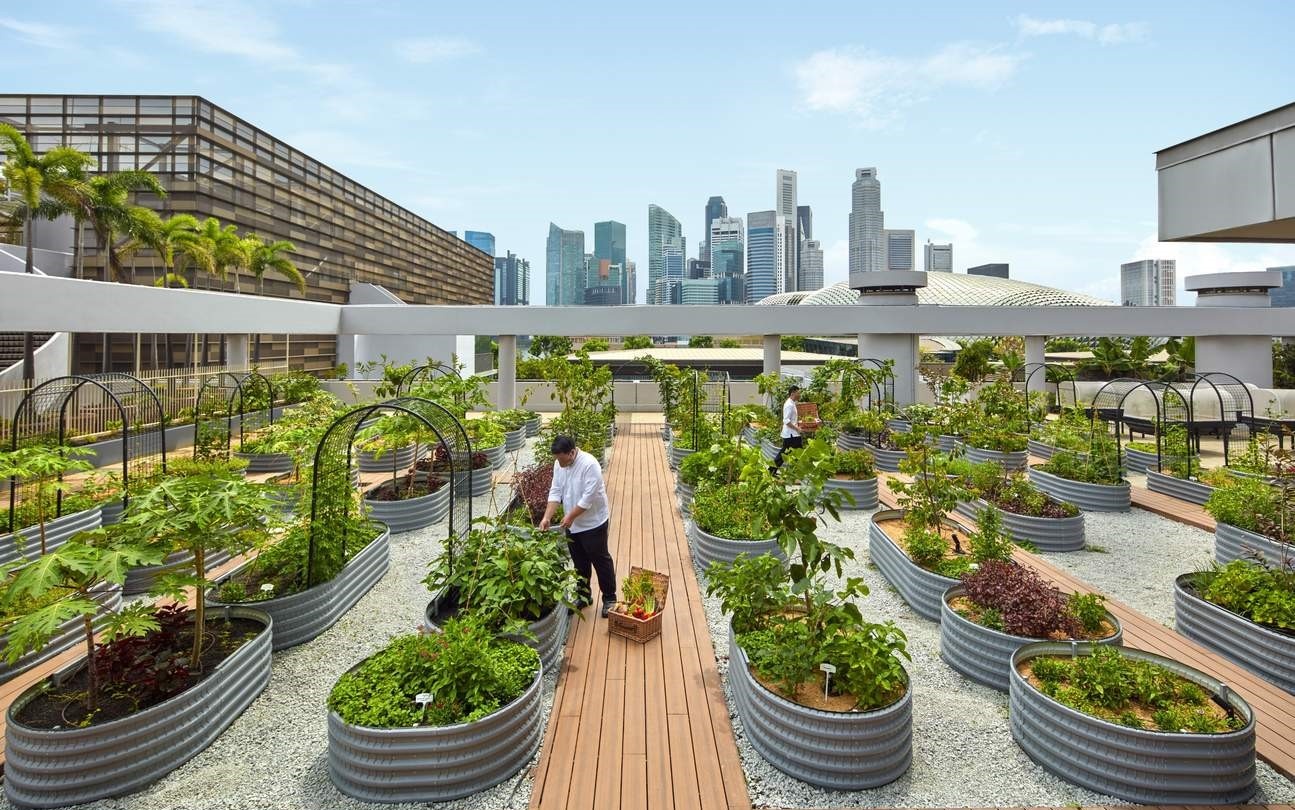 du lich MICE,  du lich MICE o Singapore,  Singapore - Diem den xanh kieu mau cho du lich MICE anh 4