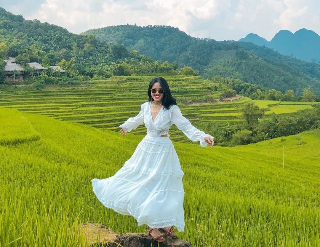 mùa lúa chín,  lúa chín miền Bắc  ảnh 4 mua lua chin,  lua chin mien Bac anh 4