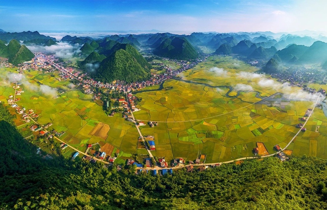 mùa lúa chín,  lúa chín miền Bắc  ảnh 3 mua lua chin,  lua chin mien Bac anh 3